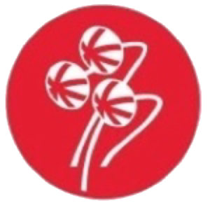 tennis newfoundland red logo