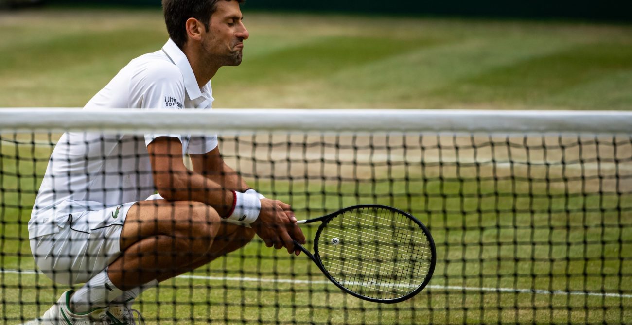 Novak Djokovic crouching on the Wimbledon Centre Court with an approval expression on his face