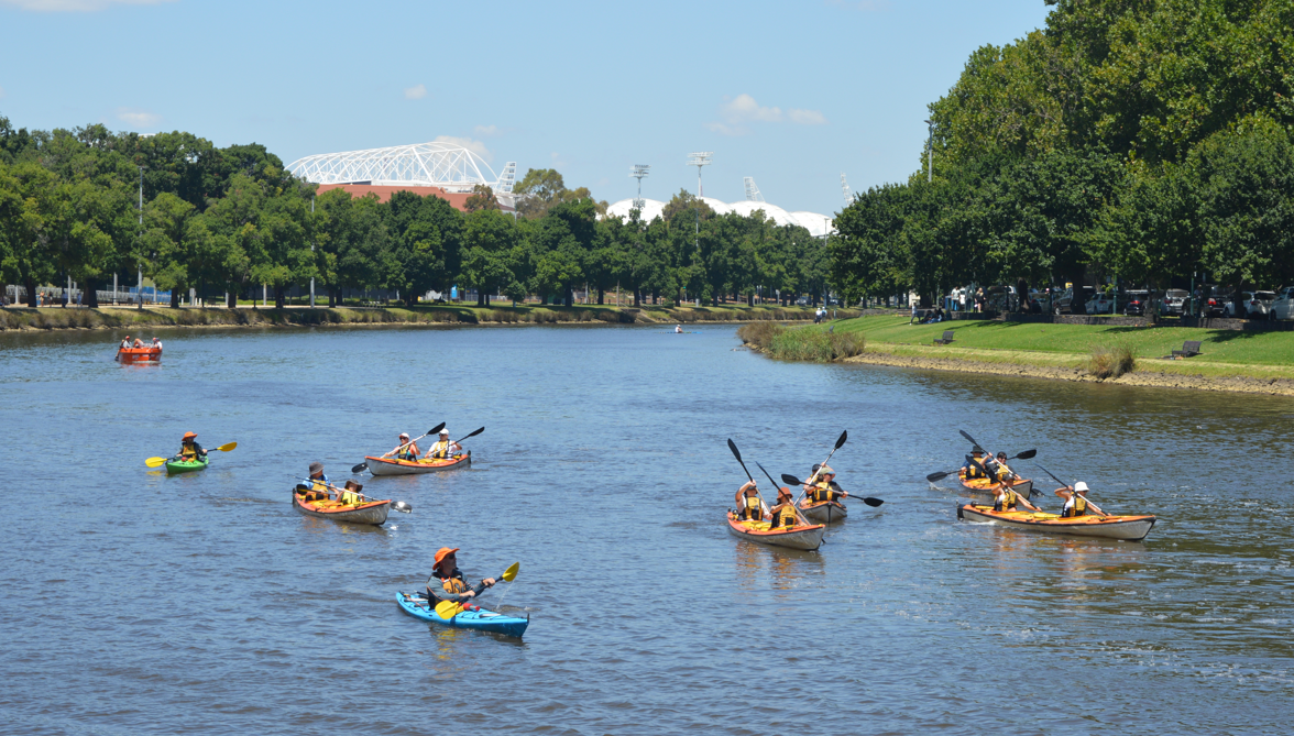 Paddlers paddle on the Yarra River.